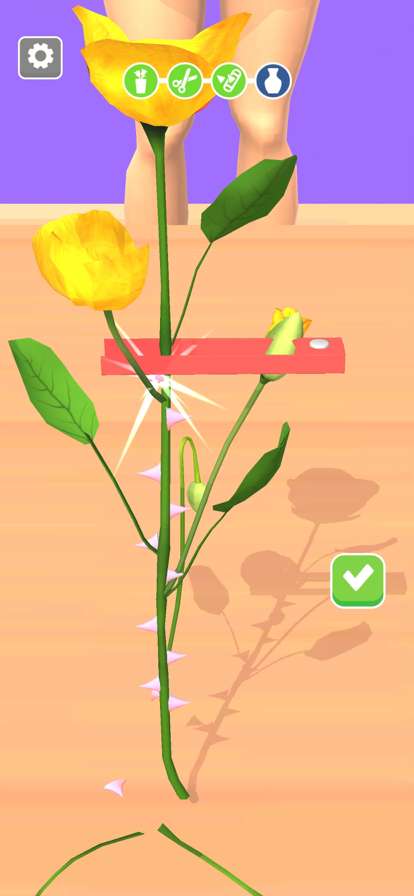 Florist Shop 3Dios版3