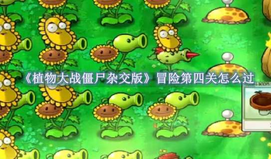 《植物大战僵尸杂交版》冒险第四关怎么过