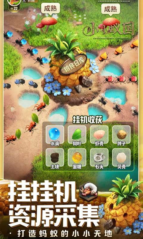 小小蚁国(极速发育版)3