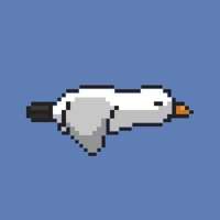 Povero Gabbianoios版