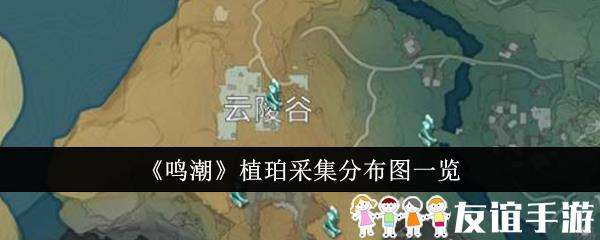 鸣潮植珀采集分布图一览