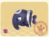 摩尔庄园象鼻鱼在哪钓 摩尔庄园象鼻鱼钓鱼攻略