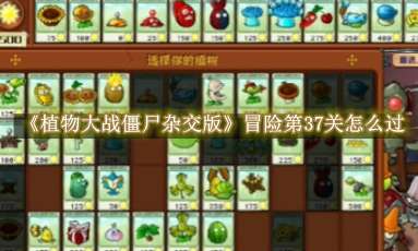 《植物大战僵尸杂交版》冒险第37关怎么过