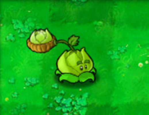 植物大战僵尸卷心菜怎么样-植物大战僵尸卷心菜投手介绍