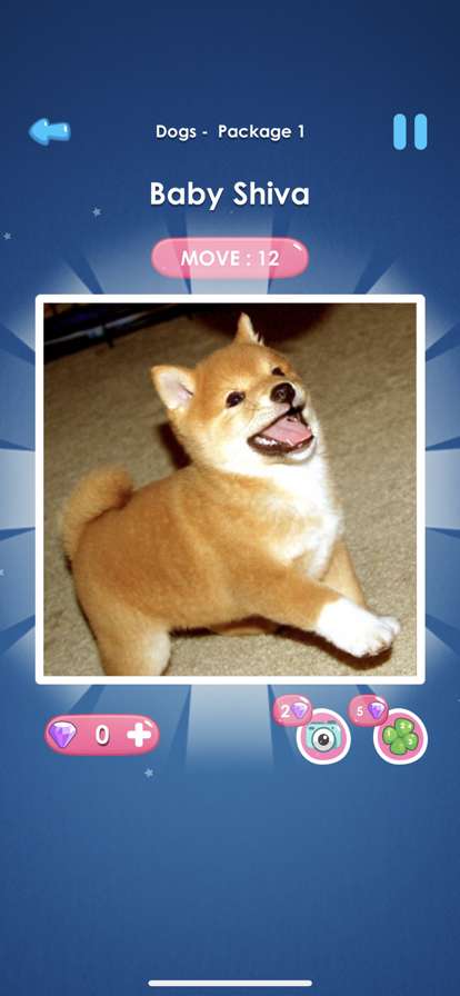 Slide Unblock Escape Thinkingios版3