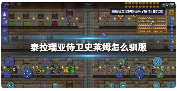 泰拉瑞亚侍卫史莱姆怎么驯服 有关侍卫史莱姆驯服的攻略教程