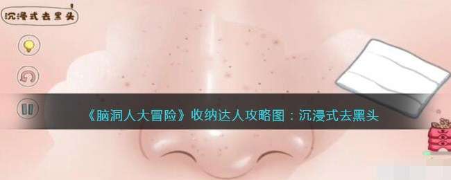 《脑洞人大冒险》收纳达人攻略图：沉浸式去黑头