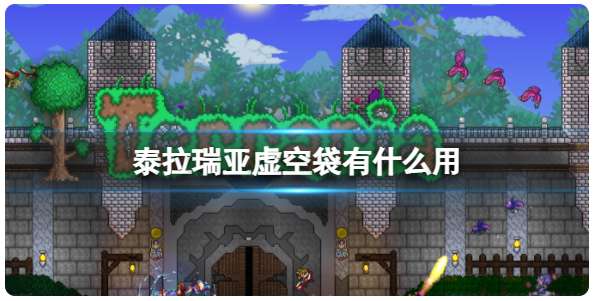 泰拉瑞亚虚空袋有什么用 有关虚空袋的用途介绍