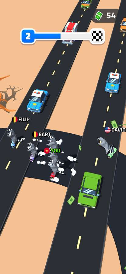 Racoon Racing 3Dios版5