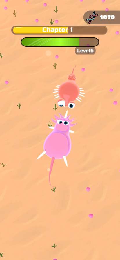 Evolution Race!ios版5