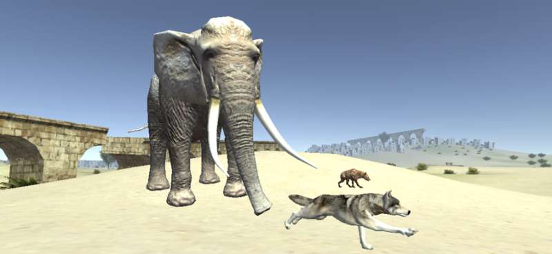 Wolf Run Animal Fight 3Dios版2