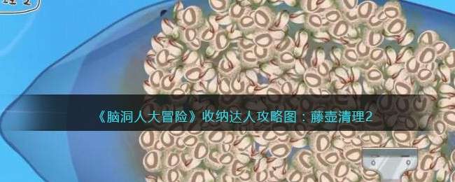 《脑洞人大冒险》收纳达人攻略图：藤壶清理2