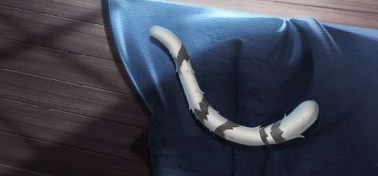 第五人格文豪野犬联动挂件有哪些 第五人格文豪野犬联动挂件一览