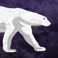 Help the bear save its denios版