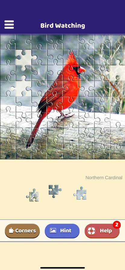 Bird Watching Puzzleios版4