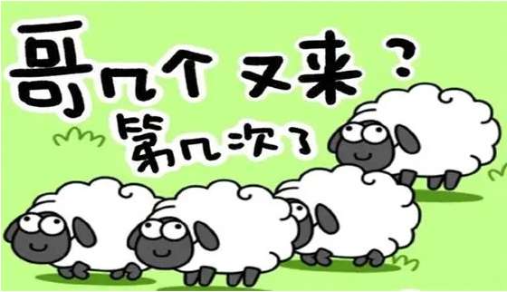 羊了个羊1.11攻略 羊了个羊1月11日每日一关通关攻略