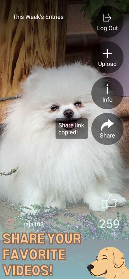 PrimeTime Dog Clubios版1