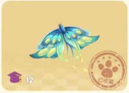 摩尔庄园暗影飞翼蝴蝶在那抓 摩尔庄园暗影飞翼蝴蝶捕捉攻略