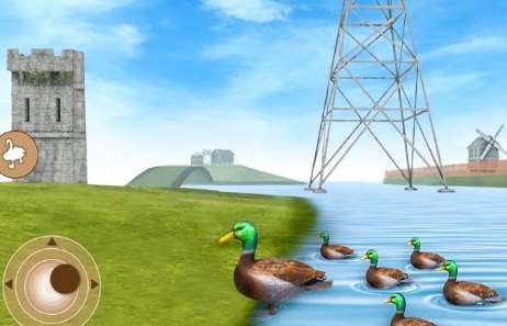 真正的鸭子生活模拟器3Dios版1