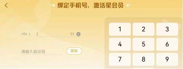 王者荣耀星会员是干嘛的 王者荣耀星会员多少钱绑定开通呢