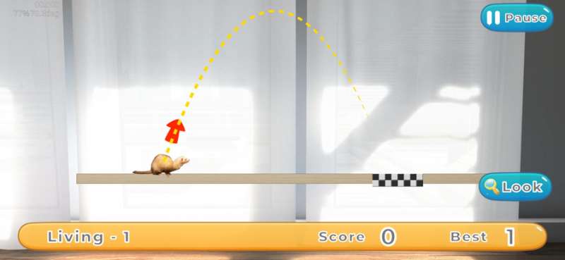 GOGO!!Ferret Explorerios版1