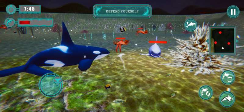 Killer Whale Orca Simulatorios版4