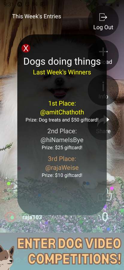 PrimeTime Dog Clubios版0